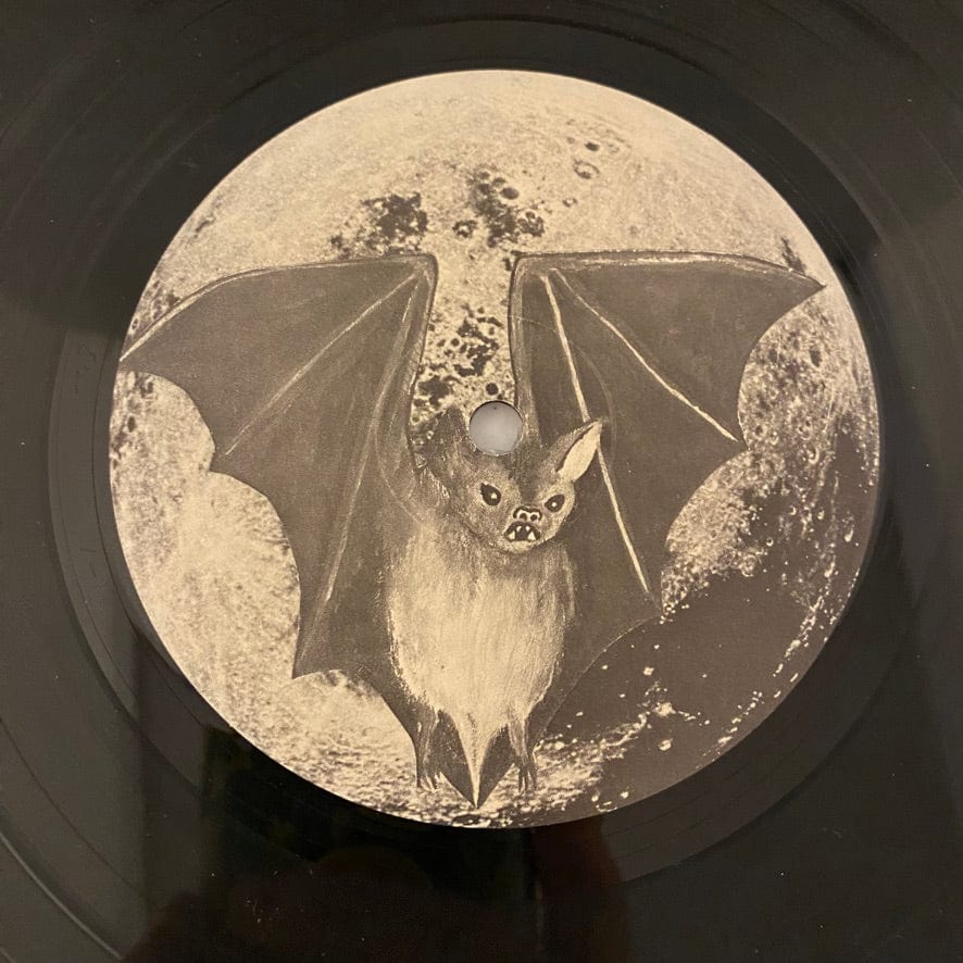 45 Grave – Sleep In Safety LP USED NM/VG+ Original 1983 Pressing - Image 5