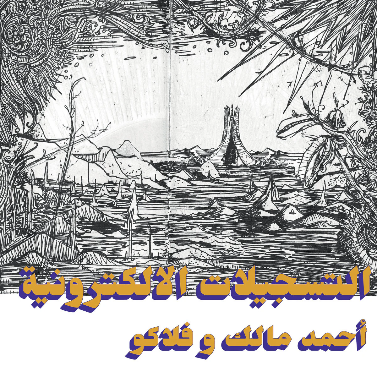 Ahmed Malek & Flako - The Electronic Tapes LP NEW