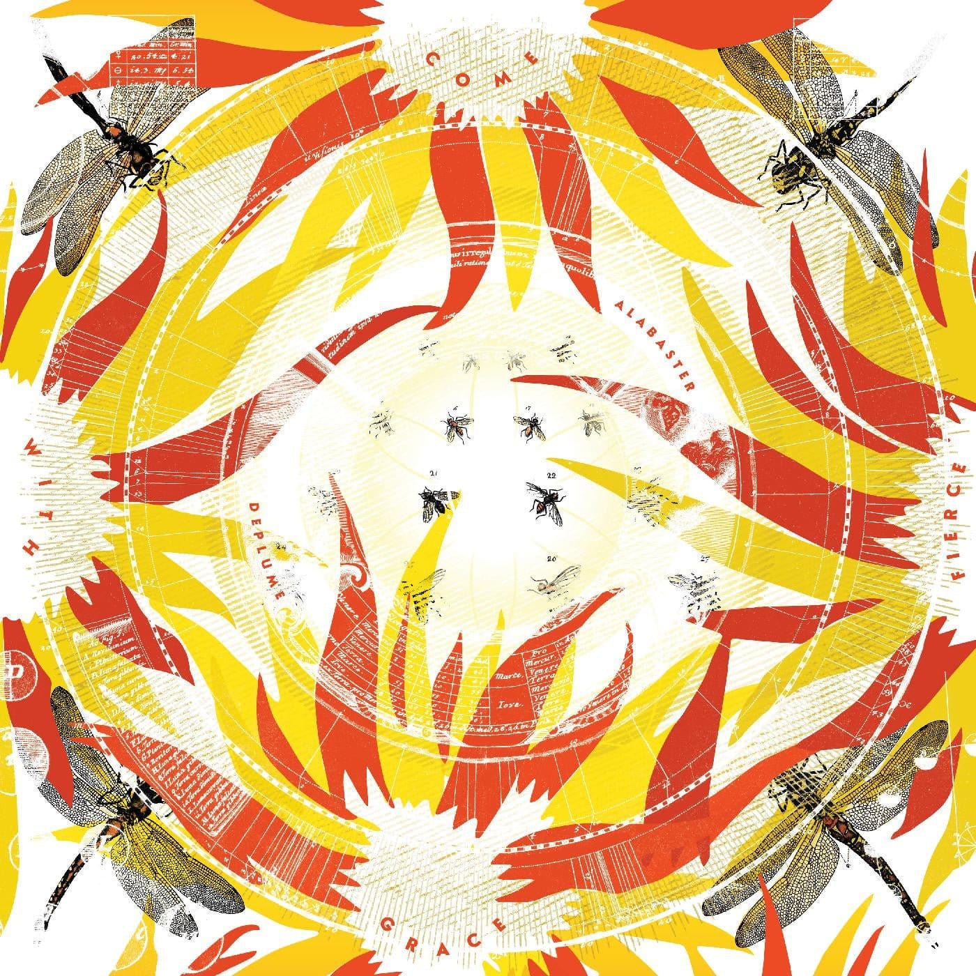 Alabaster DePlume - Come With Fierce Grace LP NEW Colored Vinyl