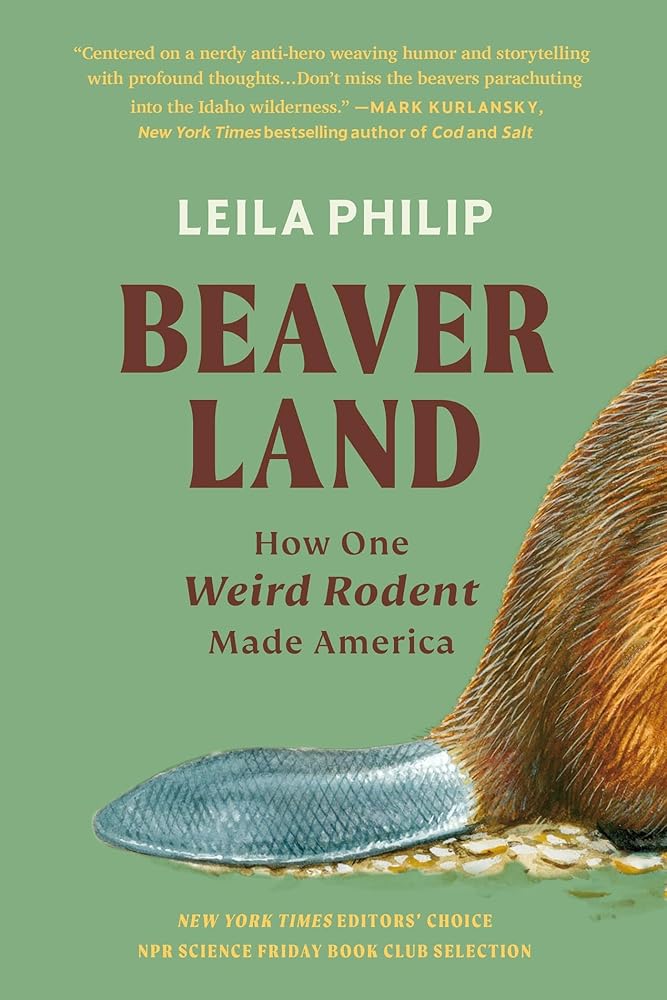 Beaverland: How One Weird Rodent Made America by Leila Philip - Paperback
