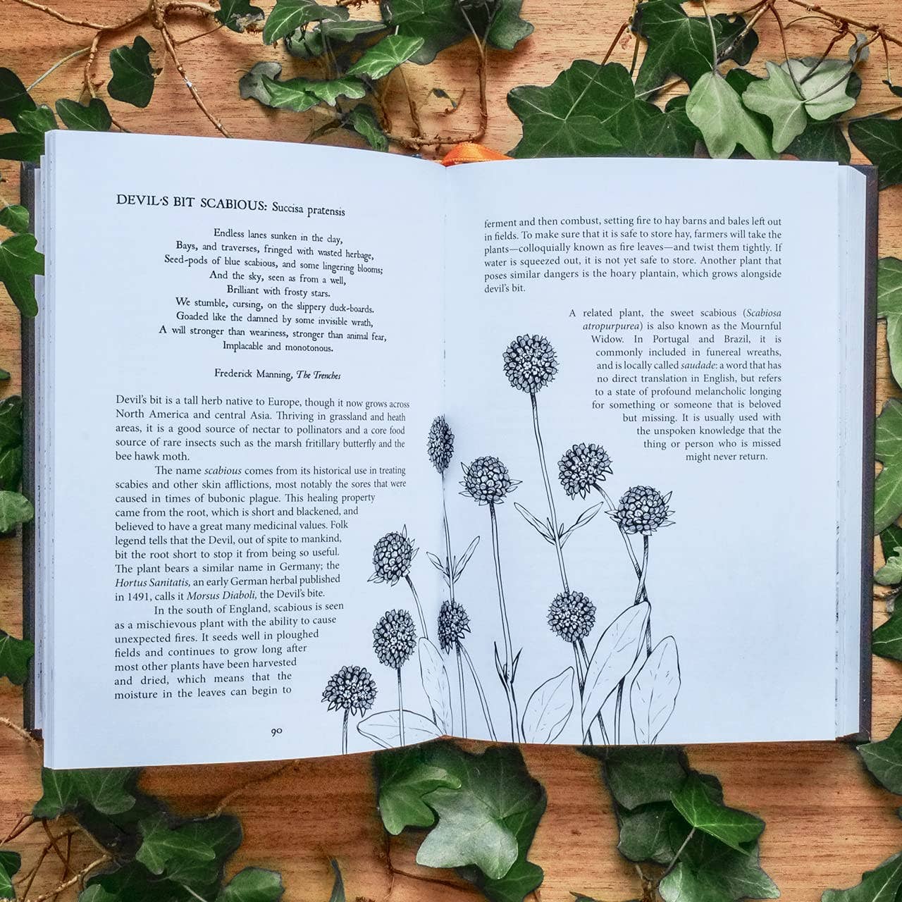 Botanical Curses and Poisons: The Shadow-Lives of Plants - Image 5