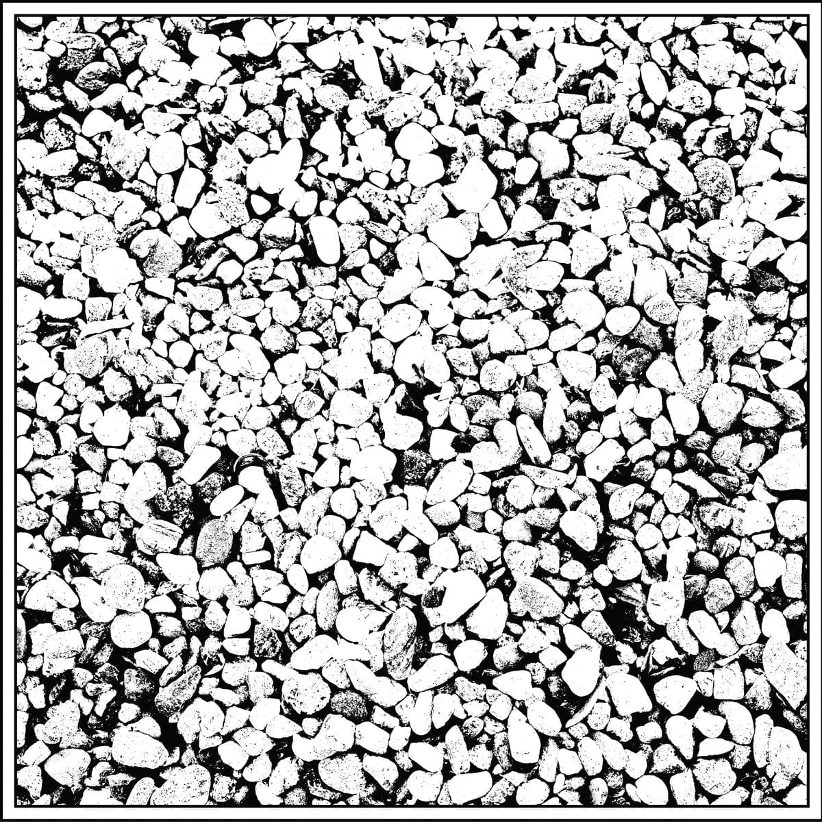 clipping. - Face LP NEW