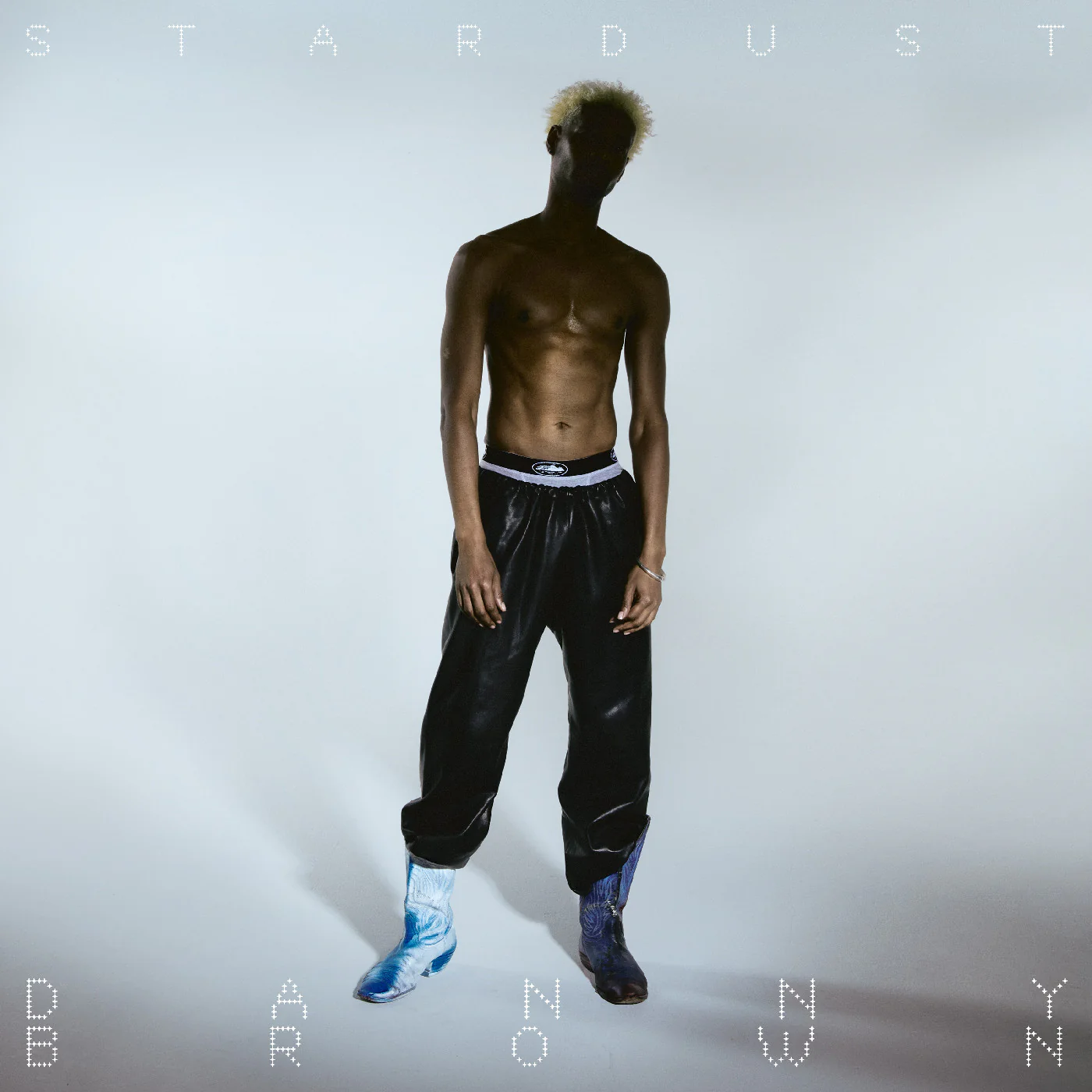 Danny Brown - Stardust 2LP NEW