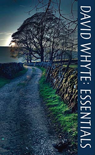David Whyte: Essentials  - Paperback