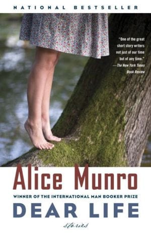 Dear Life: Stories (Vintage International) - Paperback
