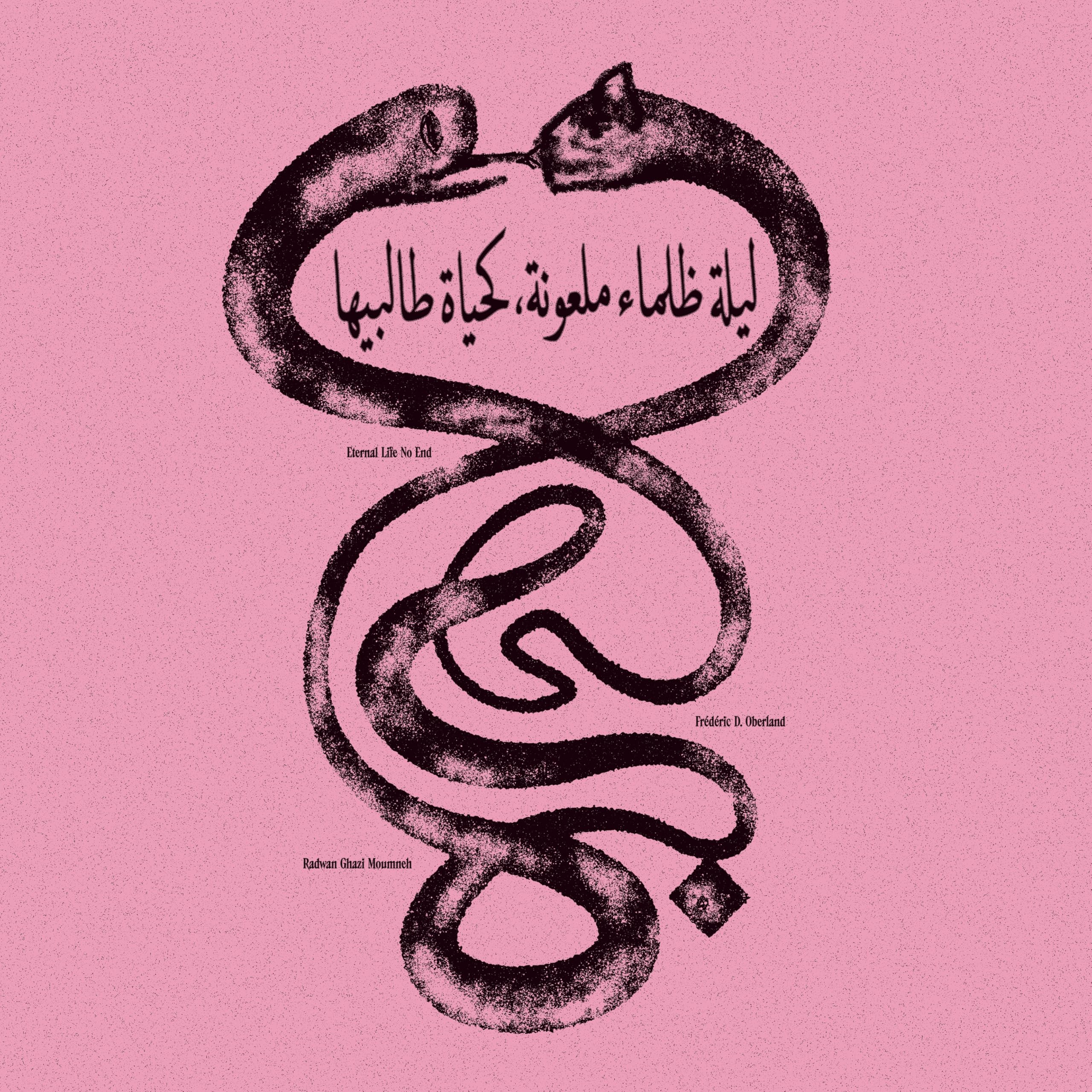 Radwan Ghazi Moumneh & Frédéric D. Oberland - Eternal Life No End LP NEW