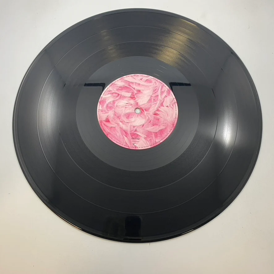 Garbage – Garbage LP USED Vinyl VG+/VG LP USED Vinyl VG+/VG - Image 7