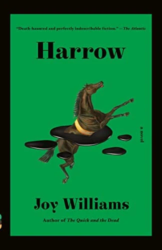 Harrow: A novel (Vintage Contemporaries) - Williams, Joy - Paperback
