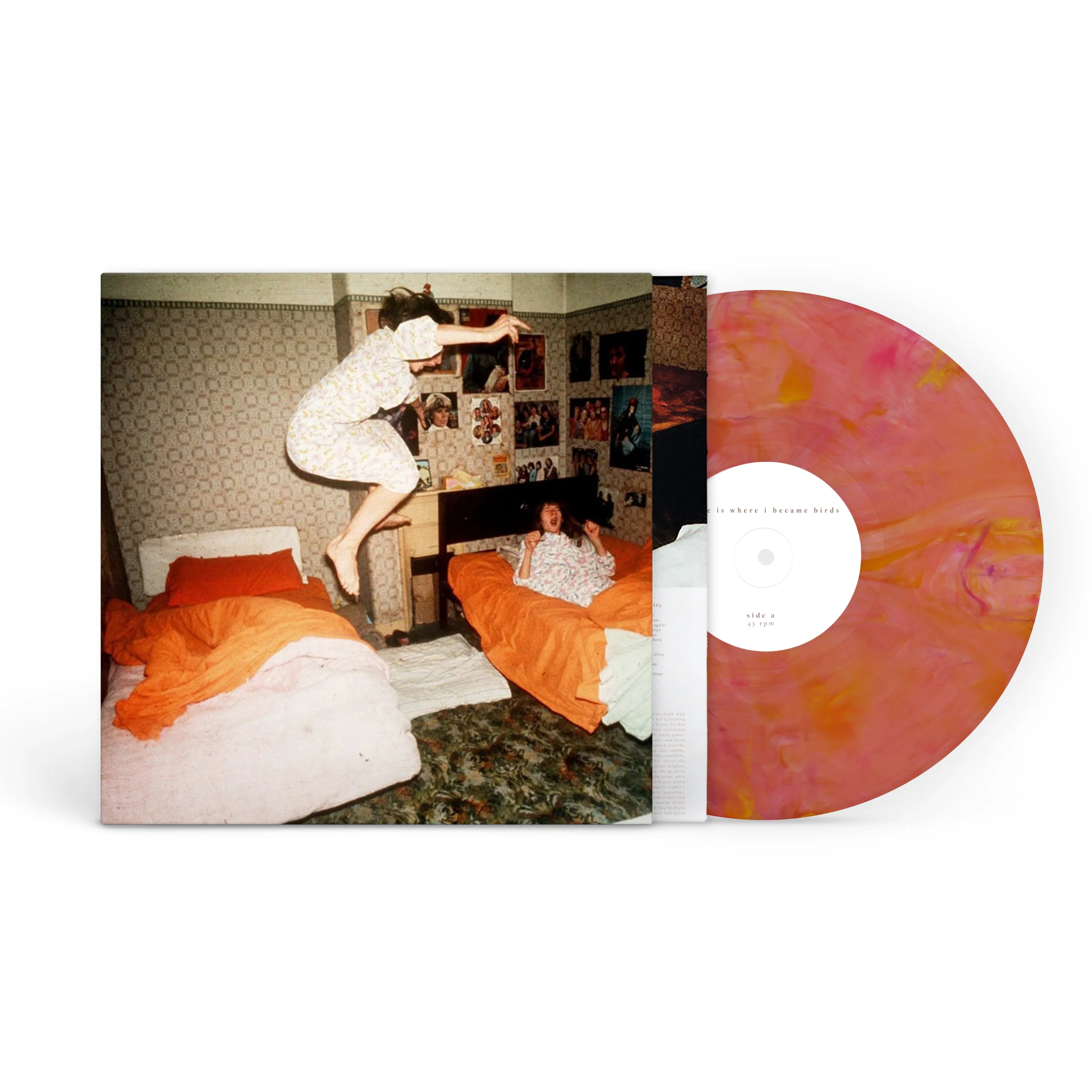 Home Is Where - I Became Birds LP NEW - Image 2