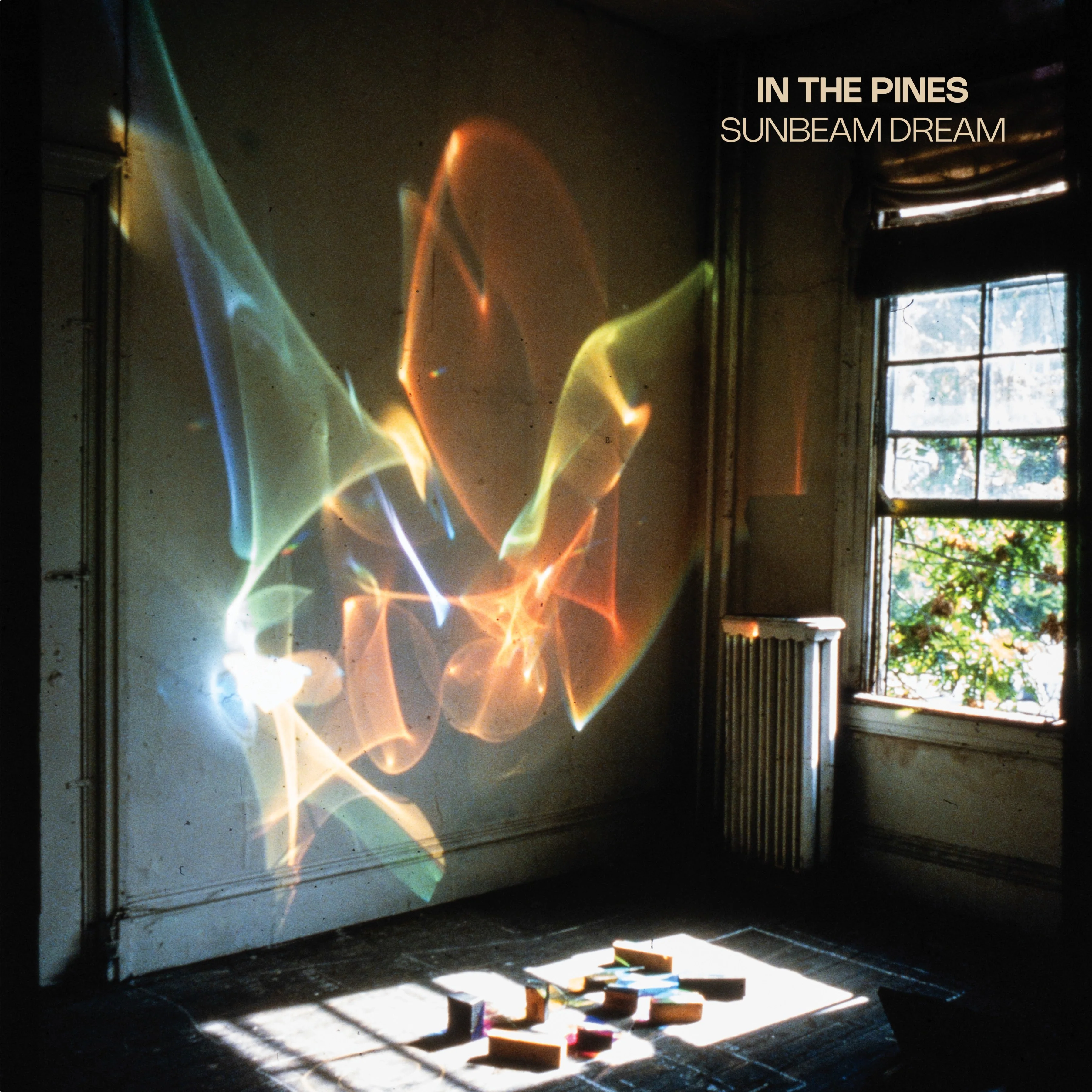 In The Pines - Sunbeam Dream LP NEW