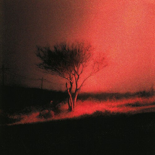 Joji - Piss In The Wind CD NEW