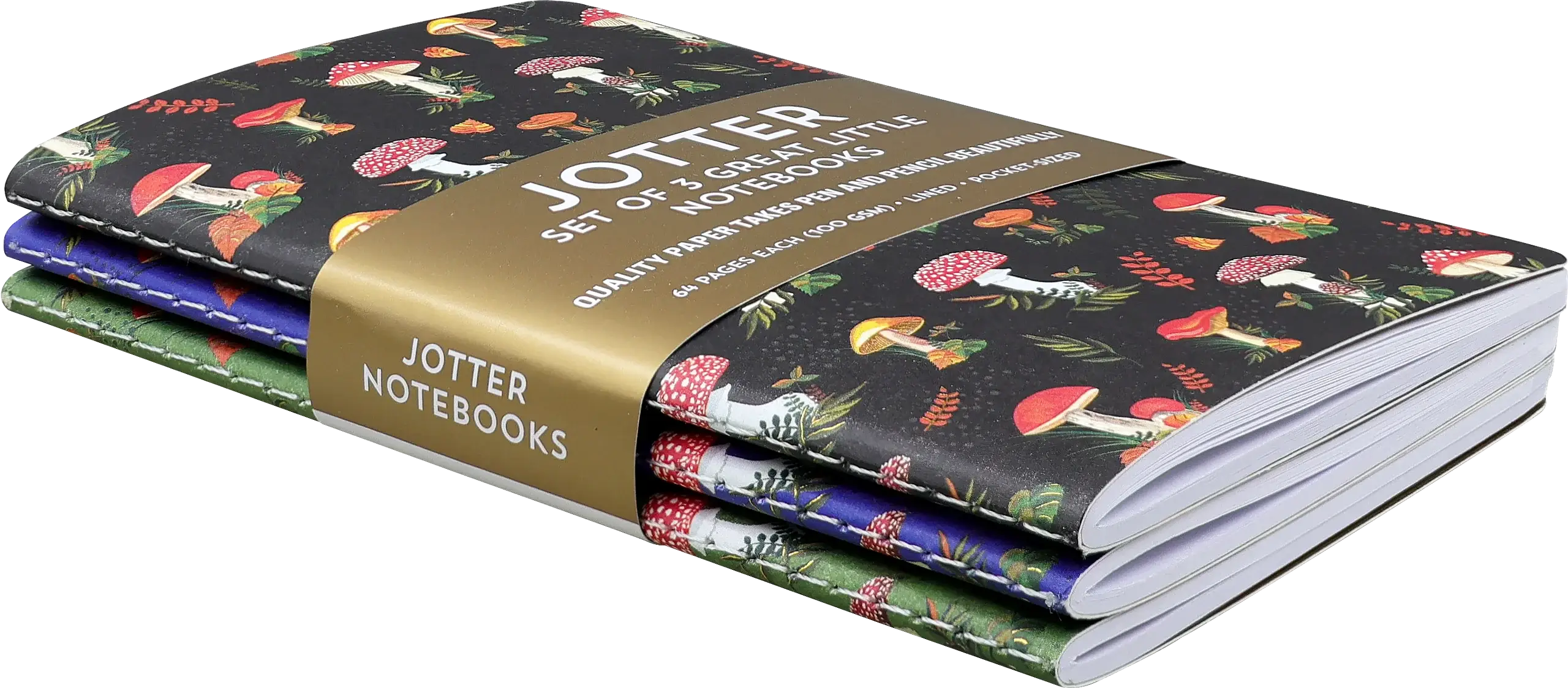 Jotter Mini Notebook Sets: Mushrooms - Image 2