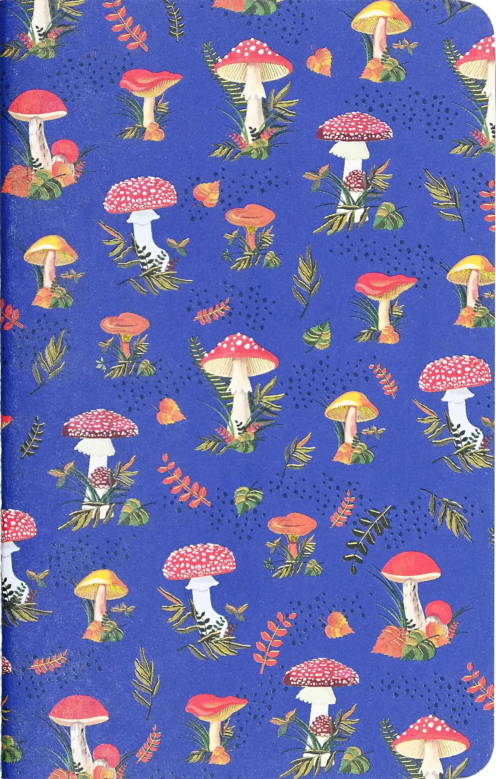 Jotter Mini Notebook Sets: Mushrooms - Image 4
