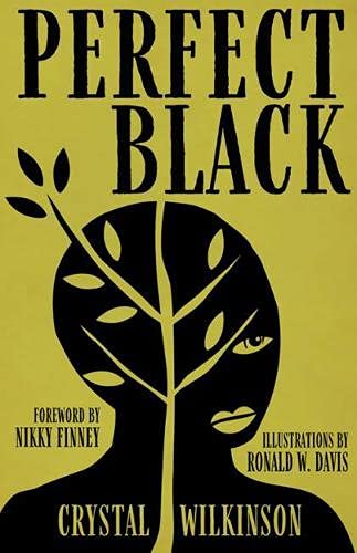 Perfect Black  - Paperback