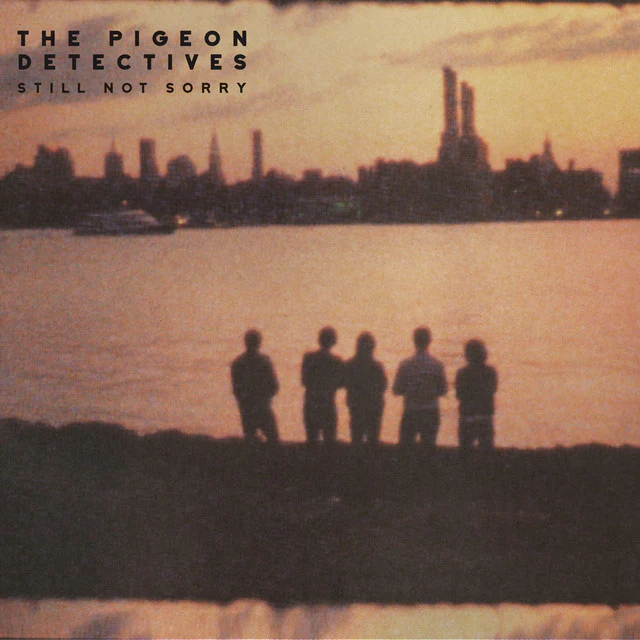 Pigeon Detectives - Still Not Sorry 2LP NEW