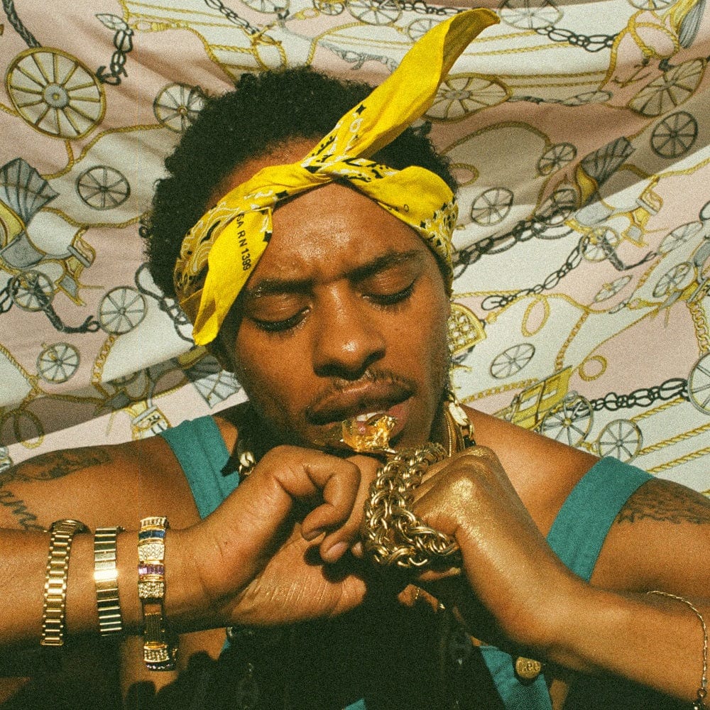 Pink Siifu - Ensley 2LP NEW