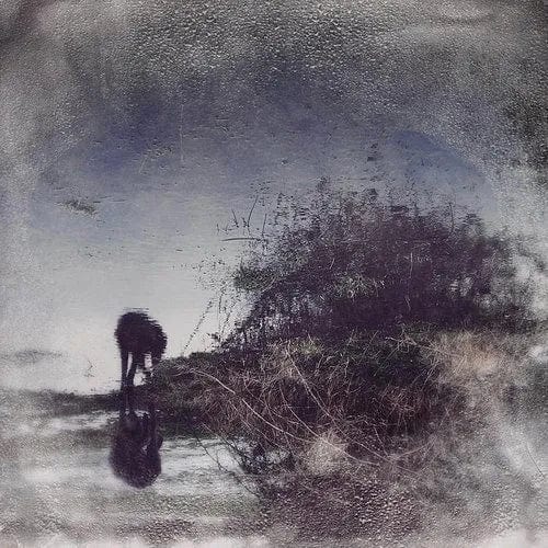 Simon Posford - Flux & Contemplation: Portrait Of An Artist In Isolation 2LP NEW SHPONGLE