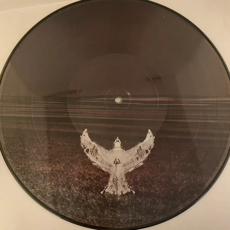 Soundgarden – Echo Of Miles (Scattered Tracks Across The Path) 6LP Box Set USED VG++/VG+ Picture Disc - Image 11
