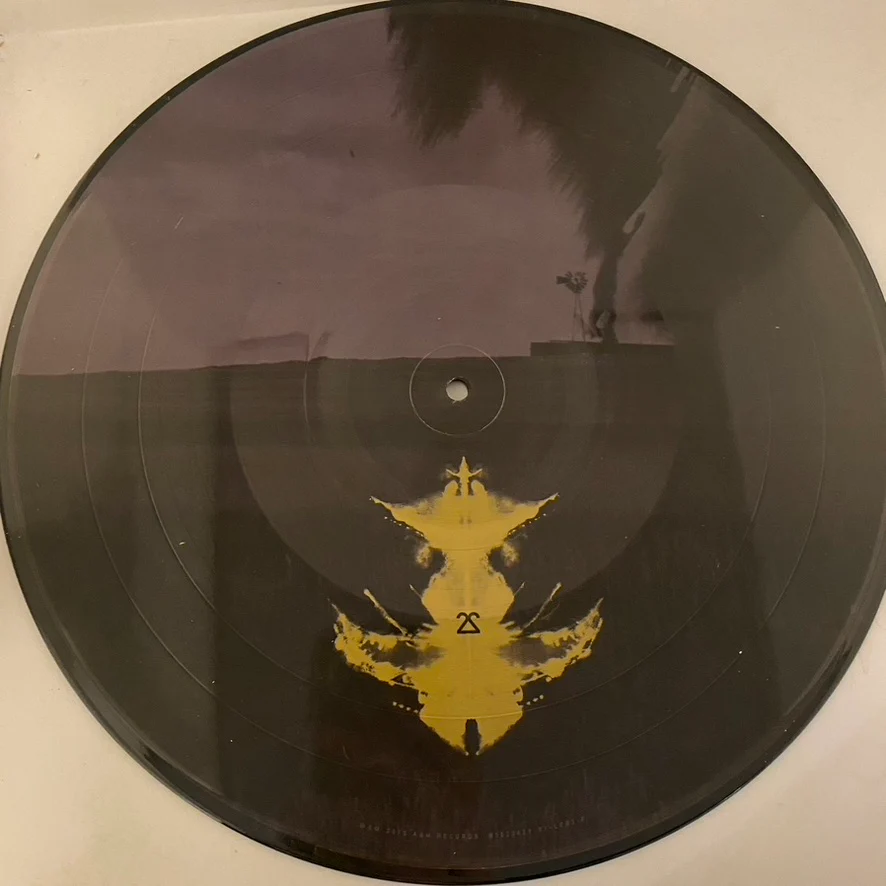 Soundgarden – Echo Of Miles (Scattered Tracks Across The Path) 6LP Box Set USED VG++/VG+ Picture Disc - Image 15