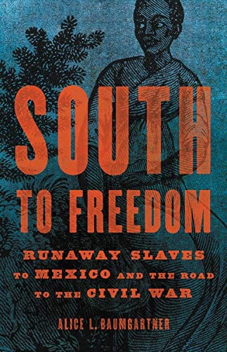 South to Freedom: Runaway Slaves to Mexico and the Road to the Civil War - Hardcover