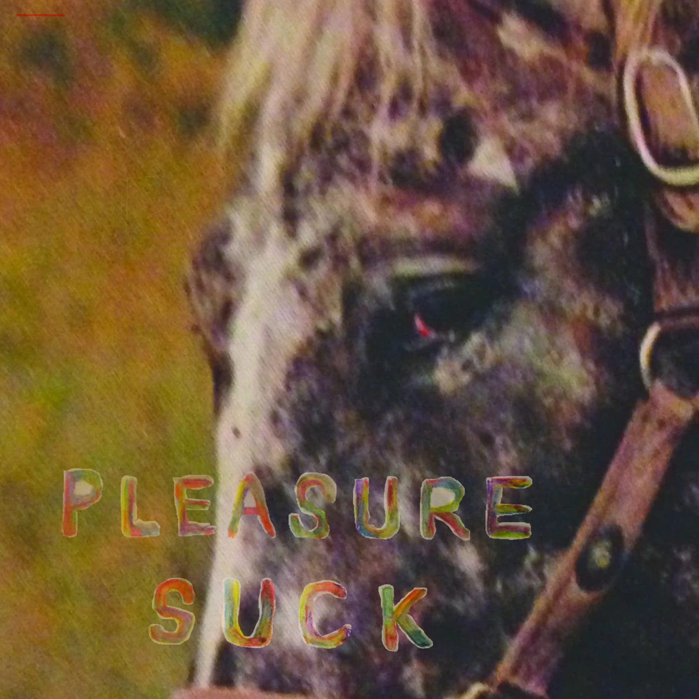 Spirit Of The Beehive - Pleasure Suck LP NEW Colored Vinyl
