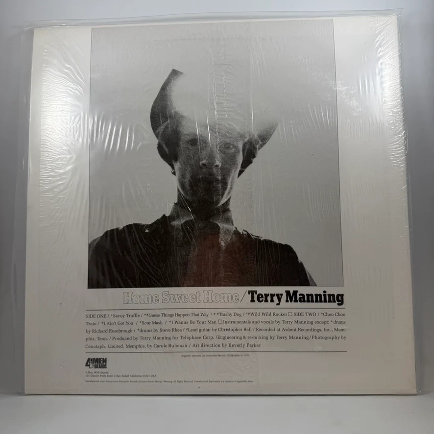 Terry Manning – Home Sweet Home LP USED Vinyl VG++/VG+ - Image 2