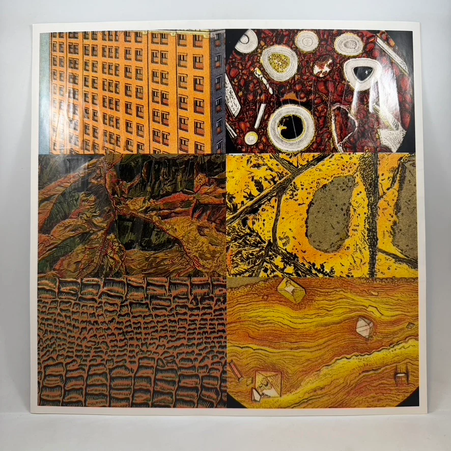The Books – The Way Out LP USED Vinyl VG+/VG+ - Image 3