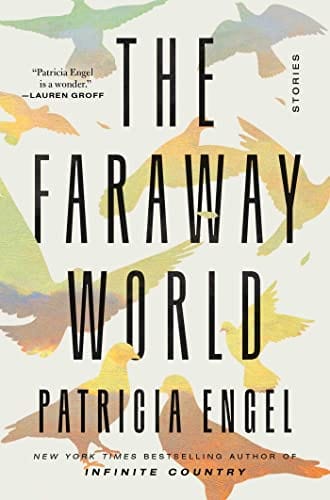 The Faraway World: Stories - Engel, Patricia - Hardcover