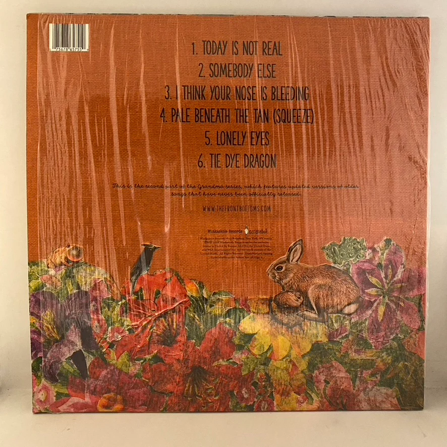 The Front Bottoms – Ann 12" USED VG+/NM Etched Single Sided - Image 2