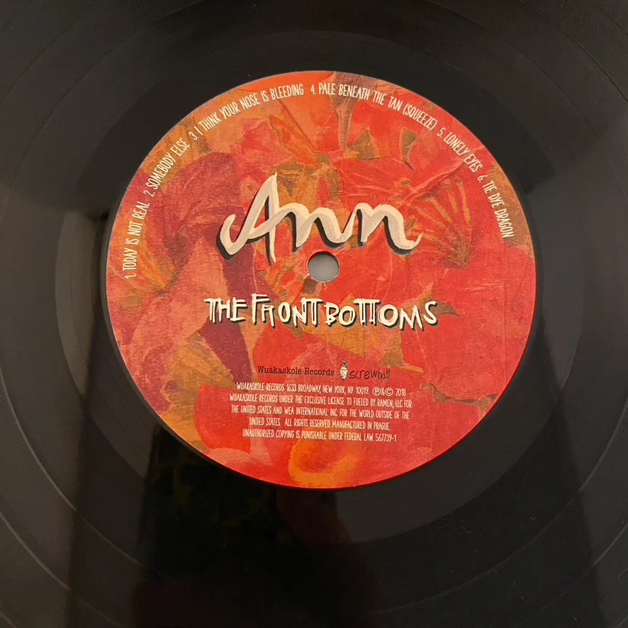 The Front Bottoms – Ann 12" USED VG+/NM Etched Single Sided - Image 3