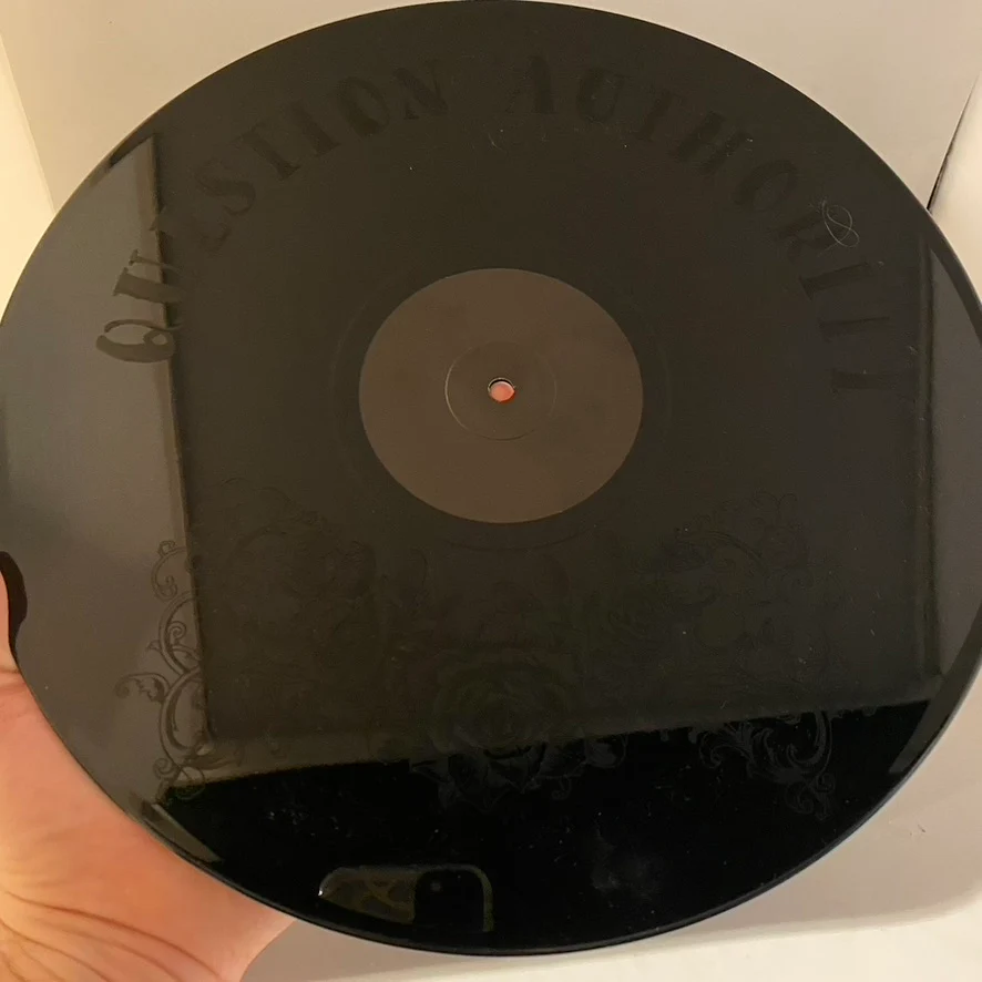 The Front Bottoms – Ann 12" USED VG+/NM Etched Single Sided - Image 4