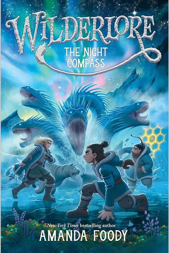 The Night Compass (4) (Wilderlore) by Amanda Foody - Hardcover