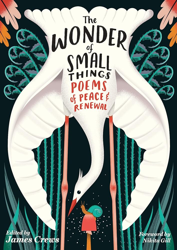 The Wonder of Small Things: Poems of Peace and Renewal by James Crews, Nikita Gill - Paperback