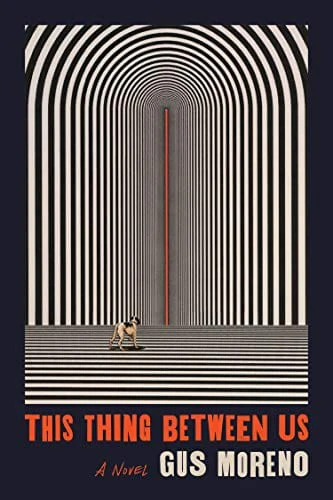 This Thing Between Us: A Novel - Paperback