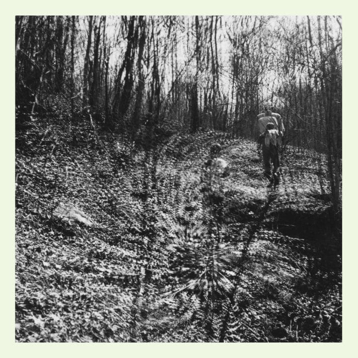 Topographies - Interior Spring LP NEW