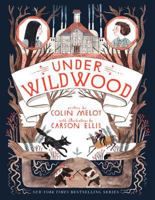 Under Wildwood (Wildwood Chronicles Book 2) - Paperback