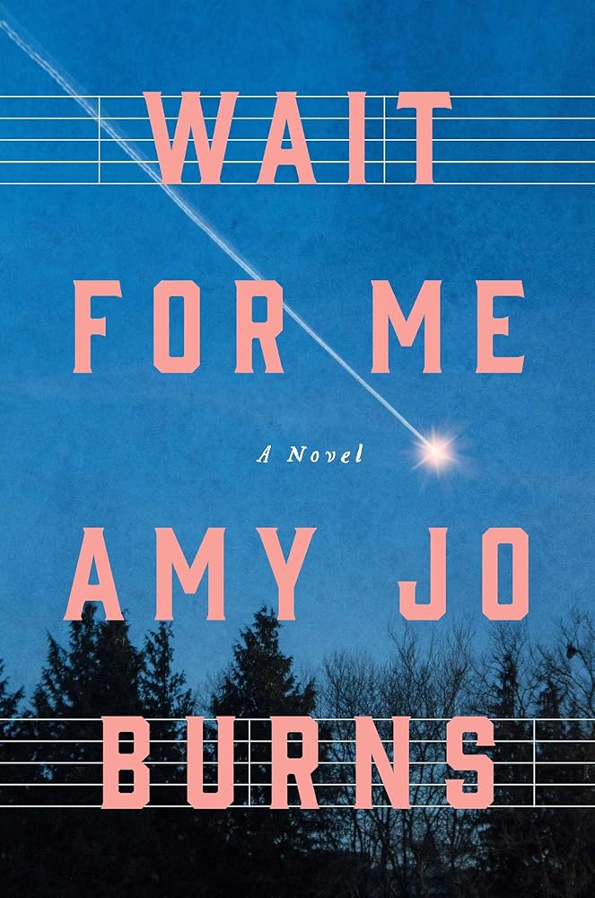 Wait for Me: A Novel by Amy Jo Burns