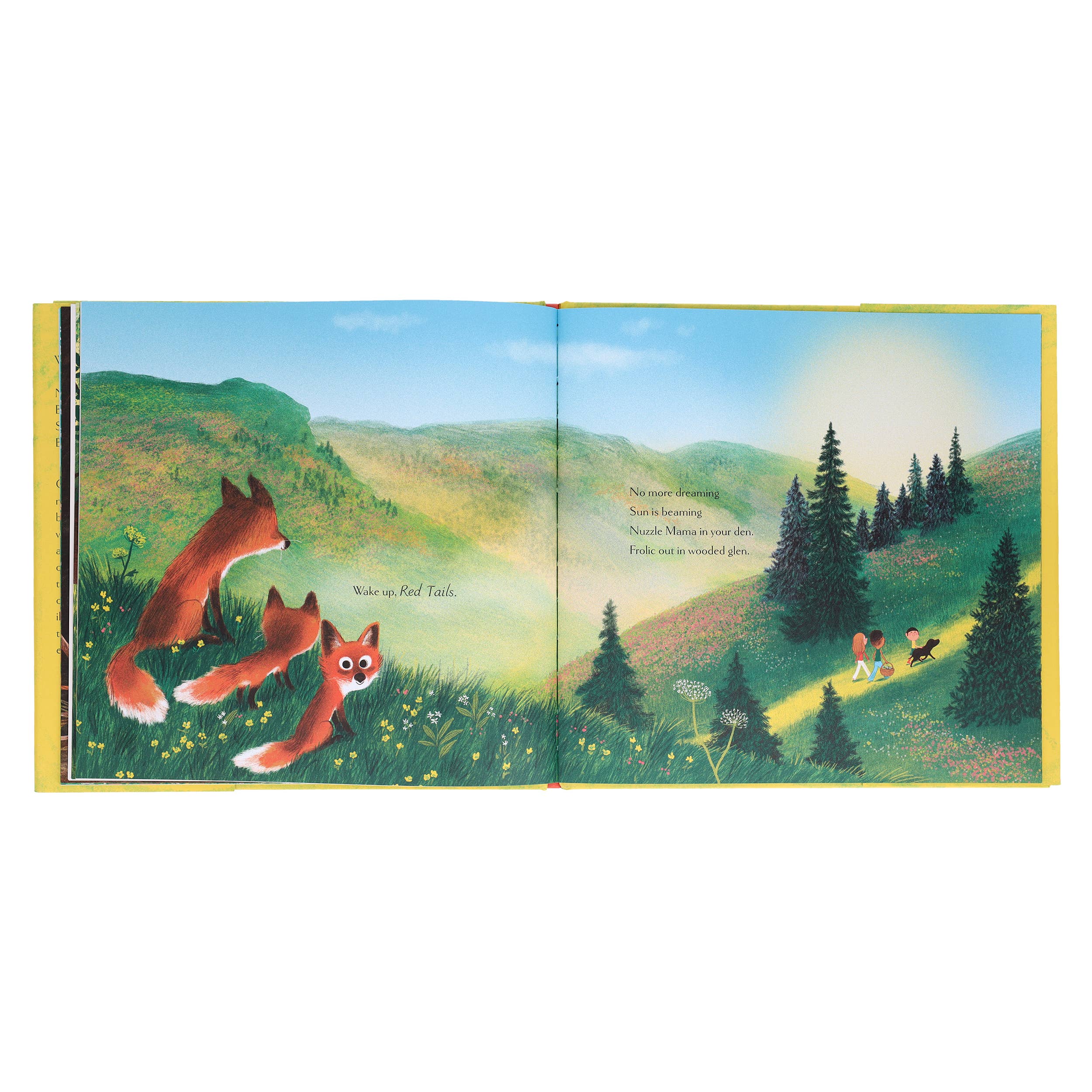 Wake Up, Woodlands by Karen Jameson, Marc Boutavant - Image 10