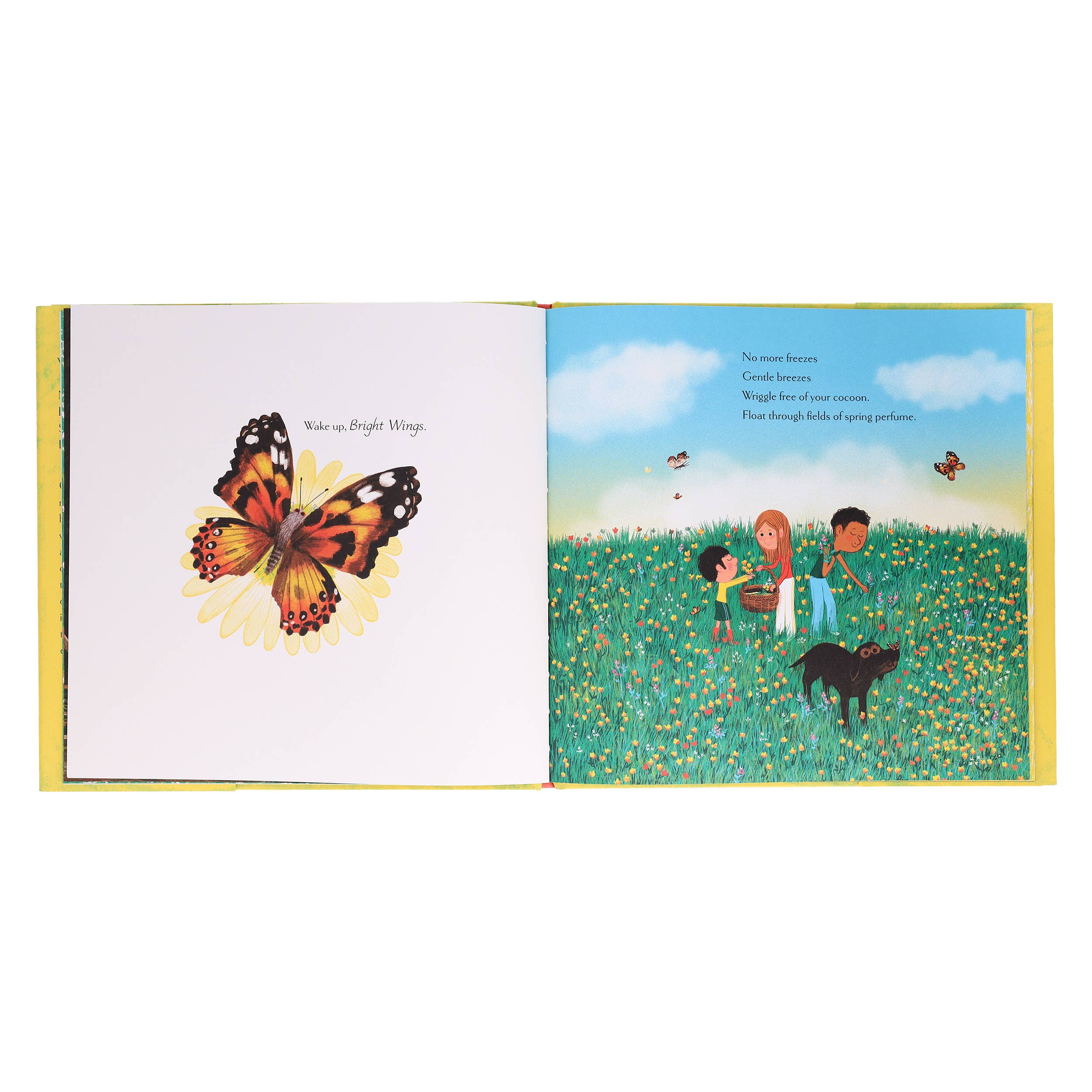 Wake Up, Woodlands by Karen Jameson, Marc Boutavant - Image 11
