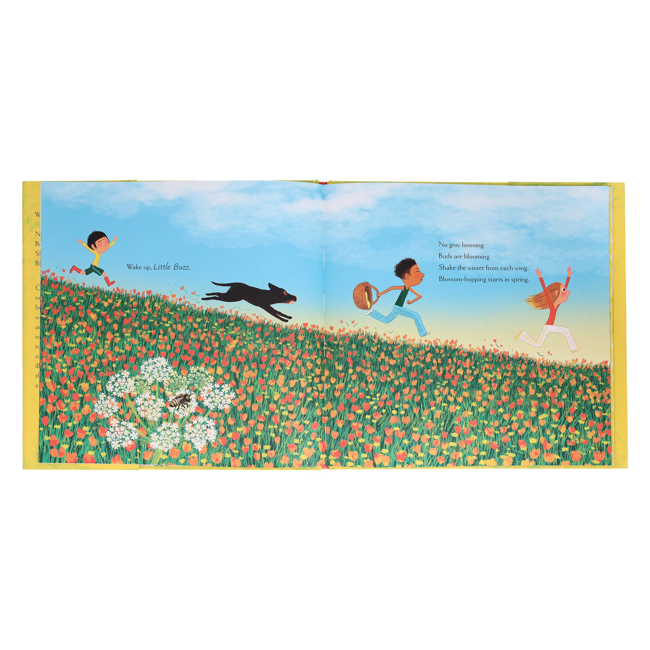 Wake Up, Woodlands by Karen Jameson, Marc Boutavant - Image 12