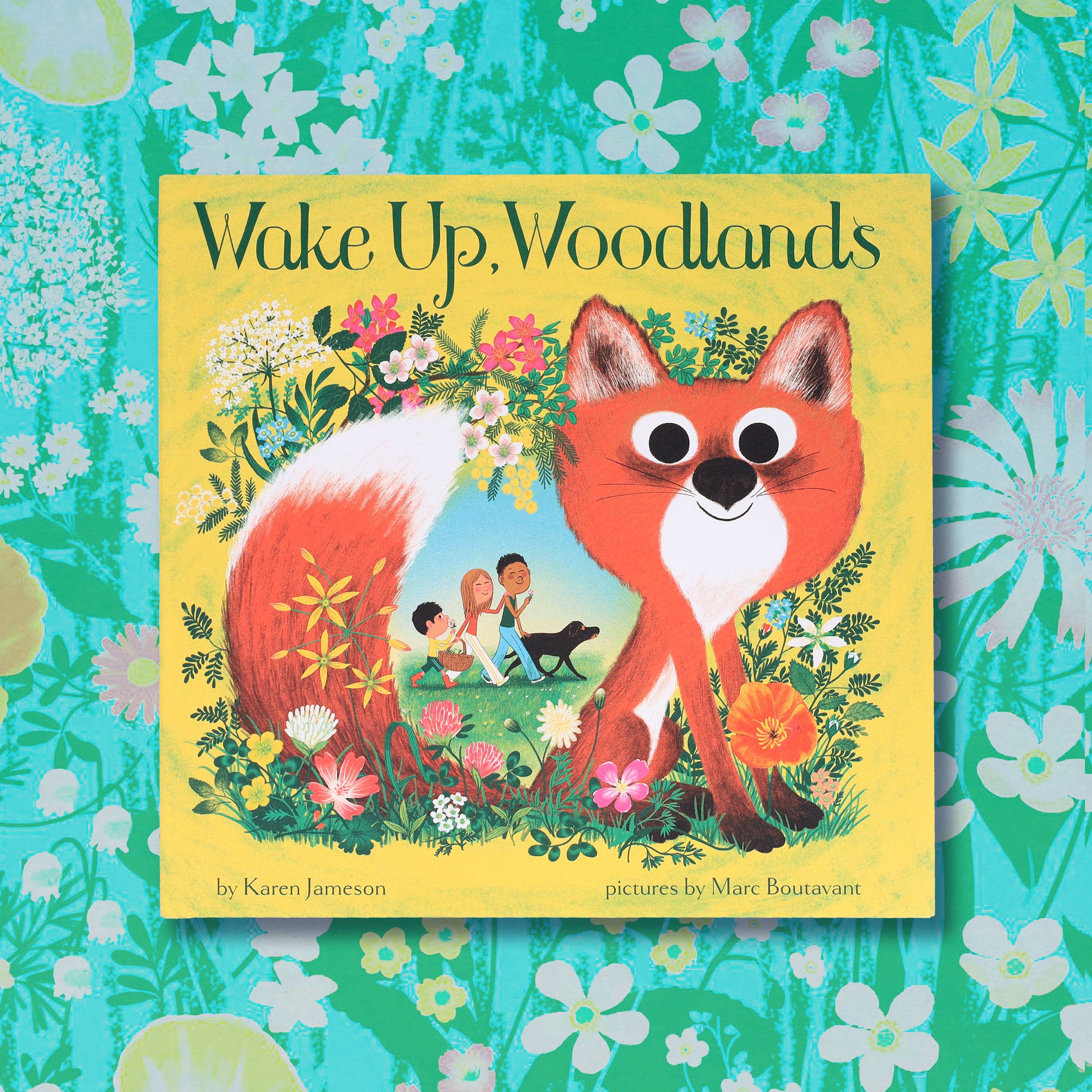 Wake Up, Woodlands by Karen Jameson, Marc Boutavant - Image 13
