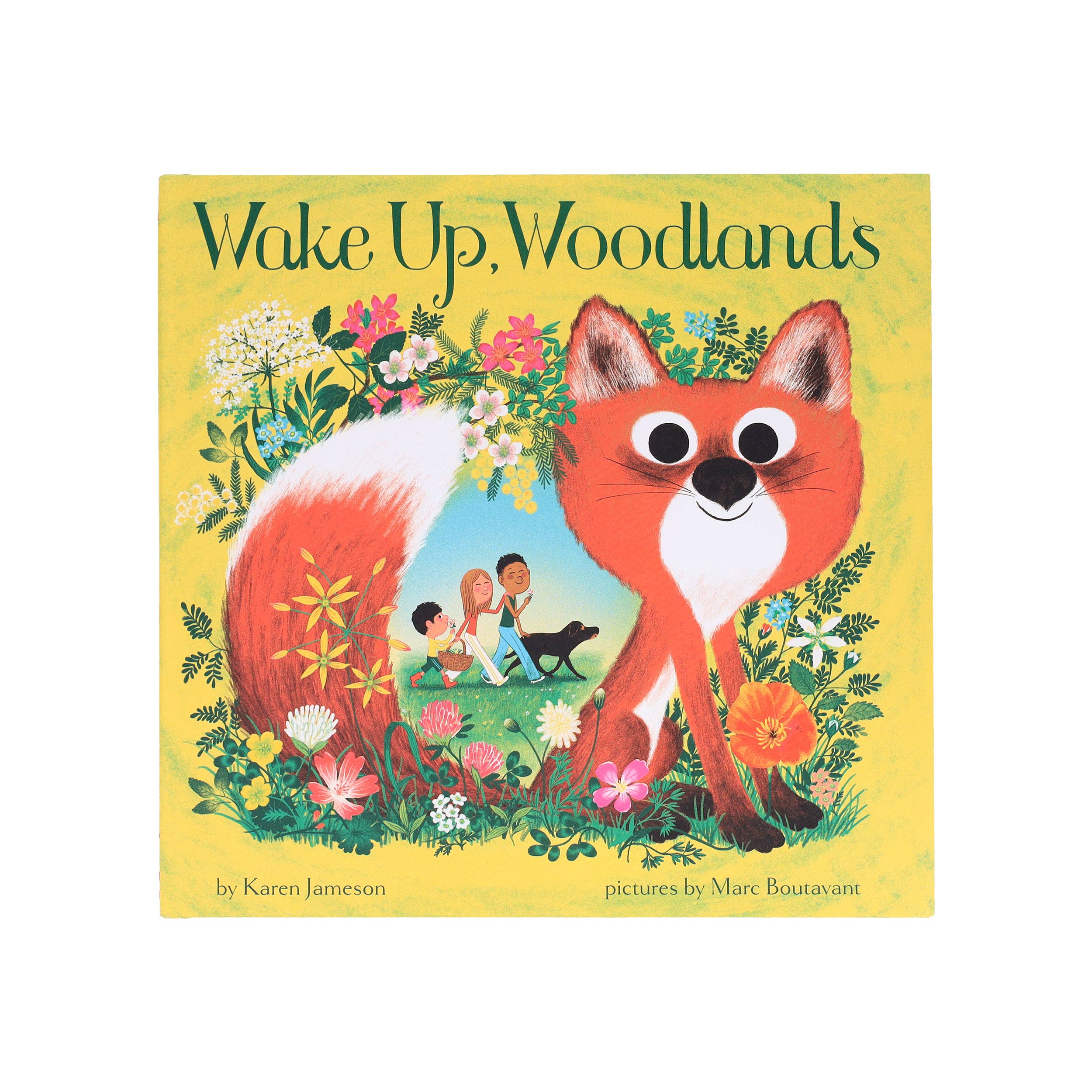 Wake Up, Woodlands by Karen Jameson, Marc Boutavant - Image 5