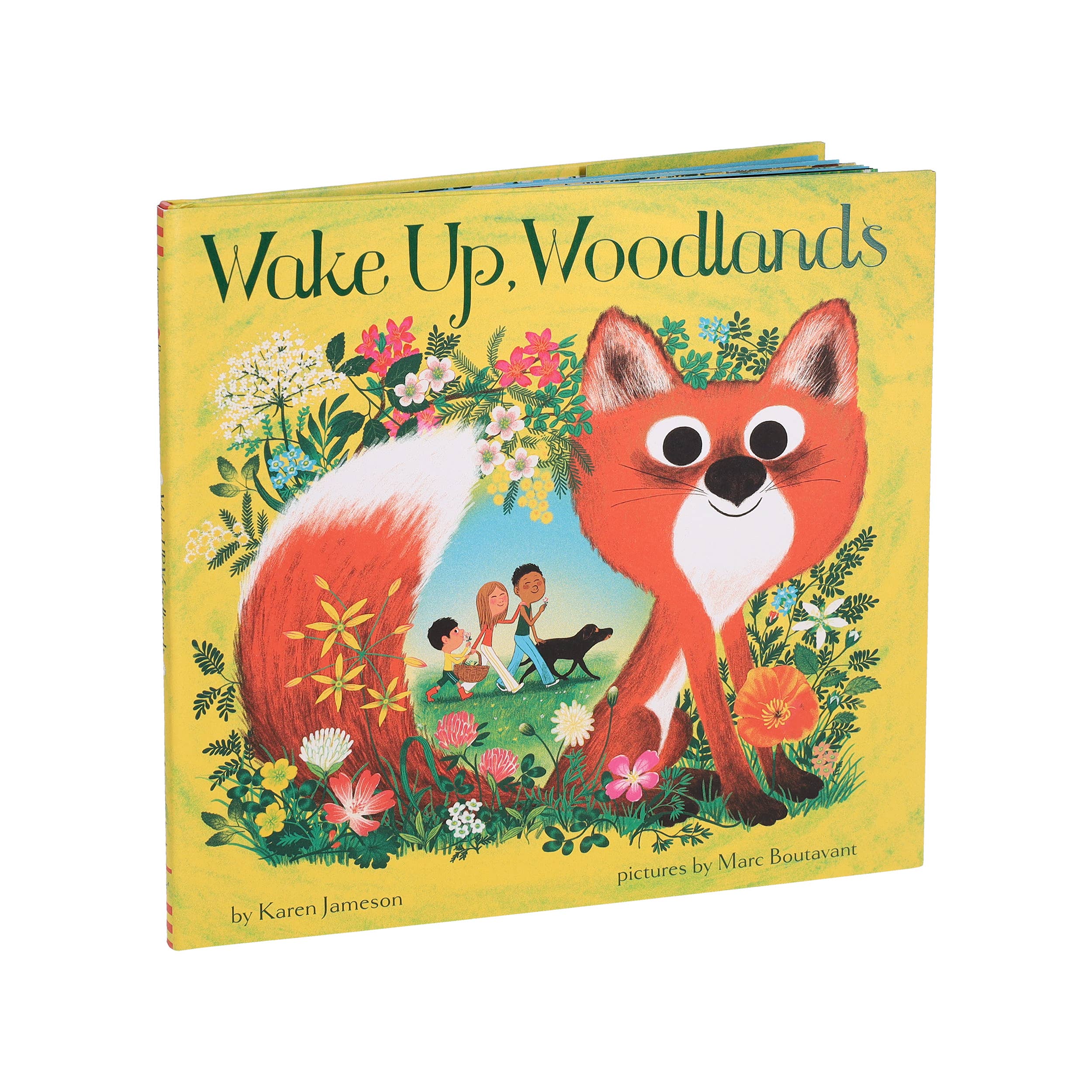 Wake Up, Woodlands by Karen Jameson, Marc Boutavant - Image 6