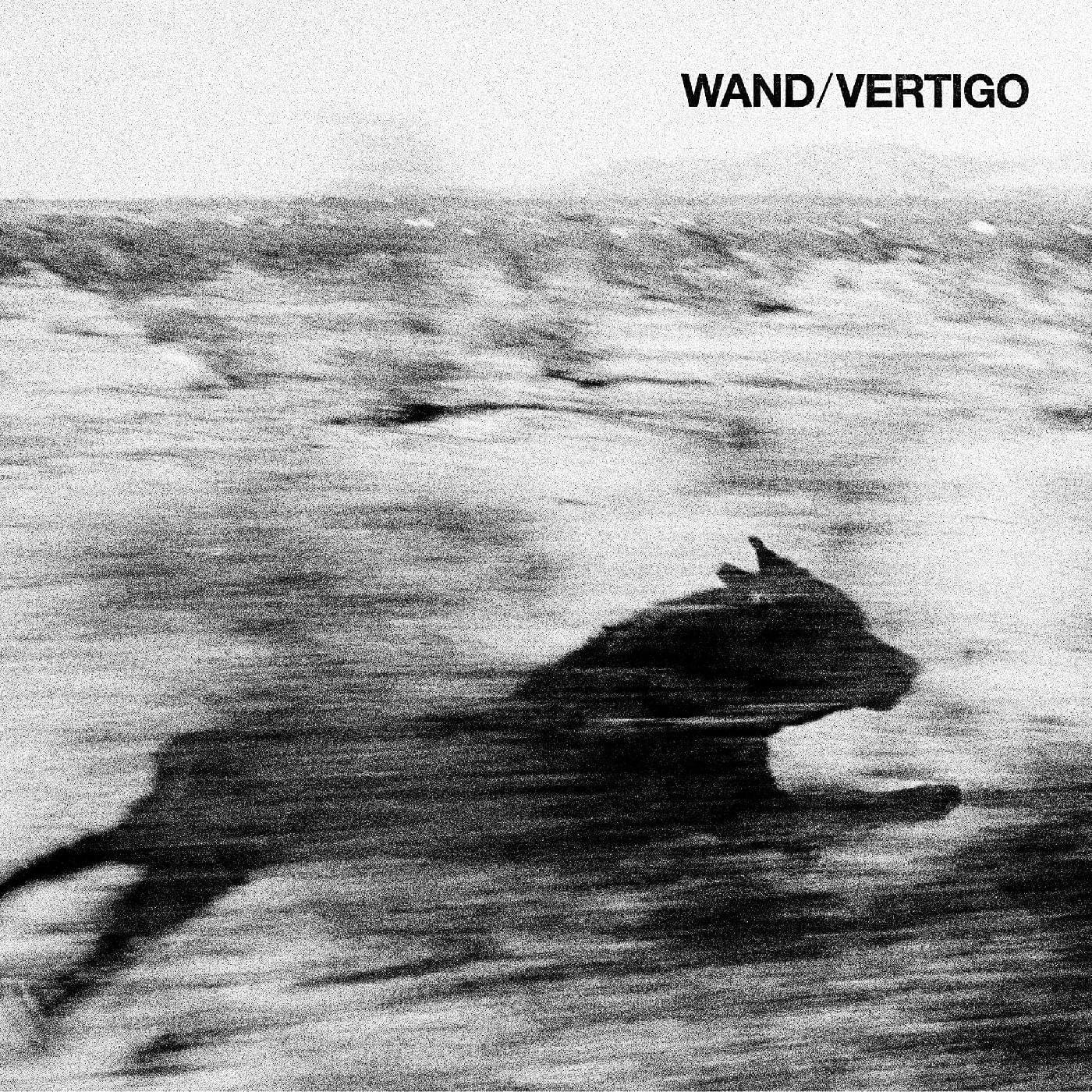 Wand - Vertigo LP NEW