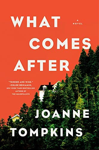 What Comes After: A Novel - Hardcover