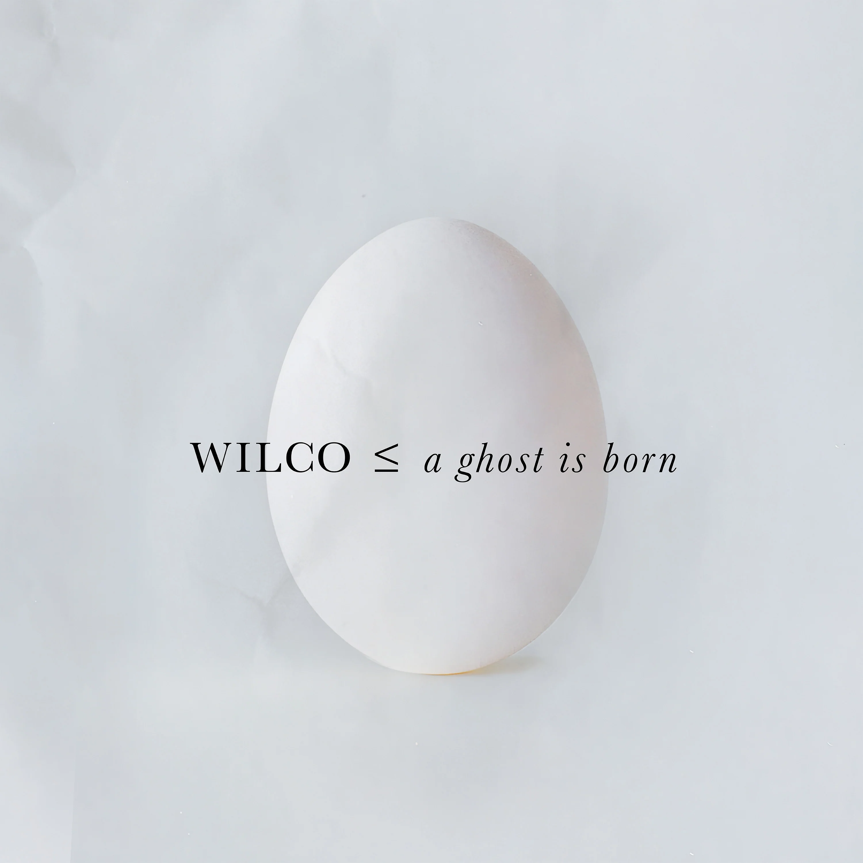 Wilco - A Ghost Is Born 2LP NEW