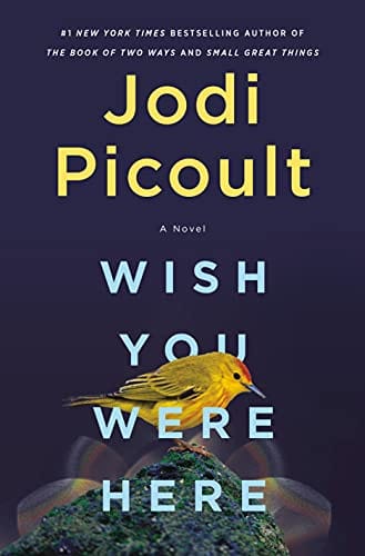 Wish You Were Here: A Novel - Hardcover
